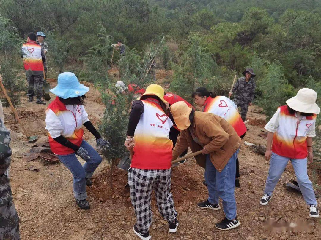 祥云：全民植绿忙