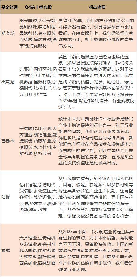 美股散户今年买了啥？