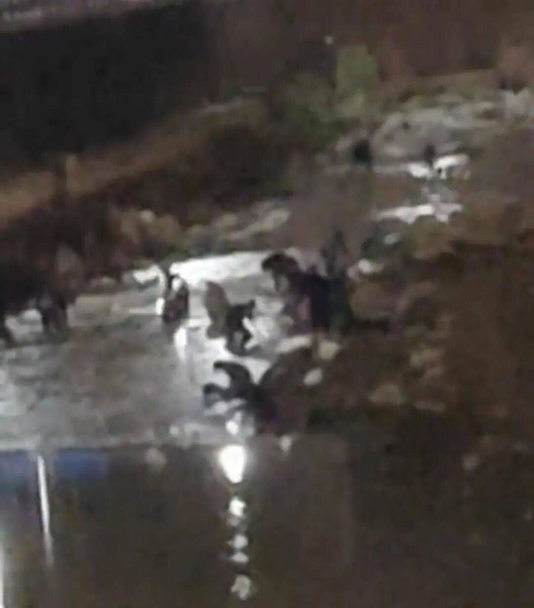 “一盆出5克多”,多人凌晨下河淘金!当地警方回应