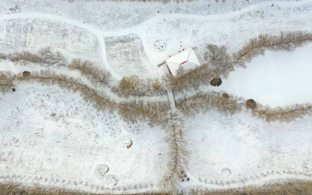 百年难遇“早立冬”来了！有啥讲究？早看早准备！