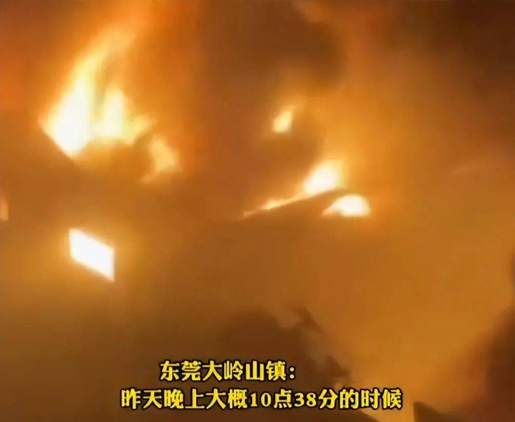 “给消防员面都煮了250碗,应该有几百人在救火”,东莞一铁皮厂房突发大火,当地回应:火已扑灭无人伤亡