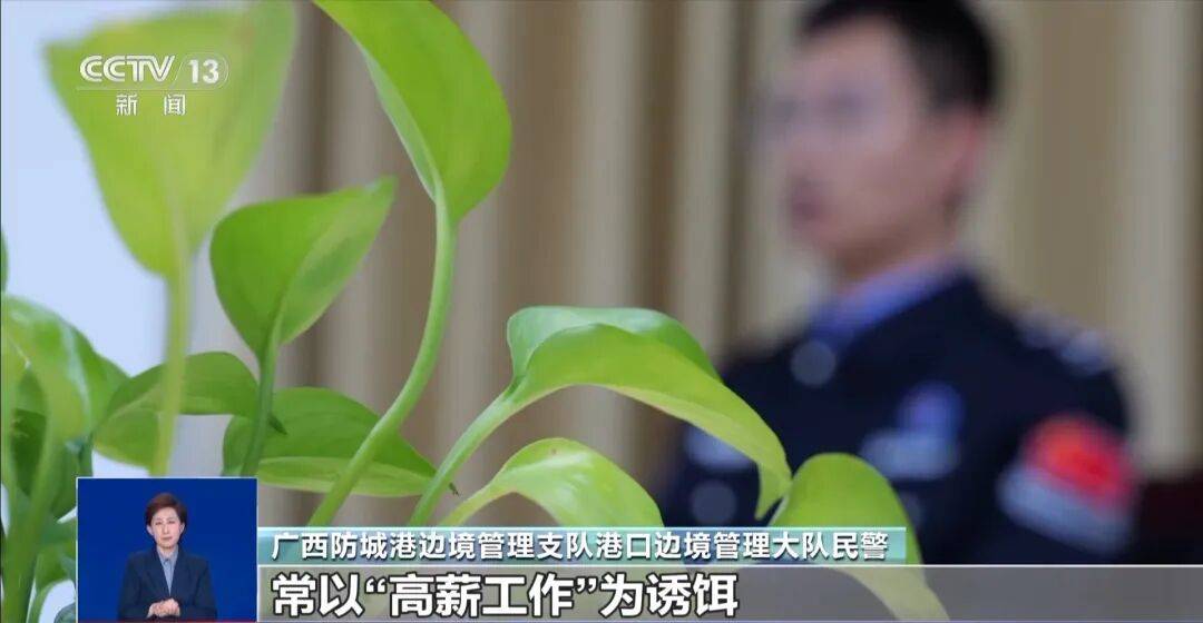 央视披露:男子在网吧厕所墙上看到“高薪日结5000-20000”广告,即将出境时被警方拦下