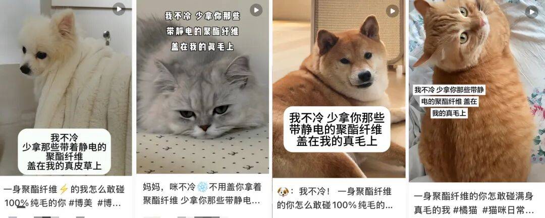 “聚酯纤维衣服是旧塑料瓶做的”,这今冬最歹毒造谣看得人生气